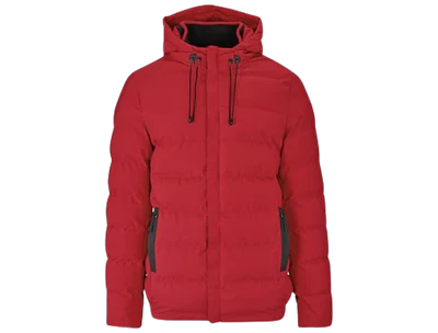 Peakline Men's Hooded Puffer